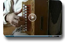 Organetto